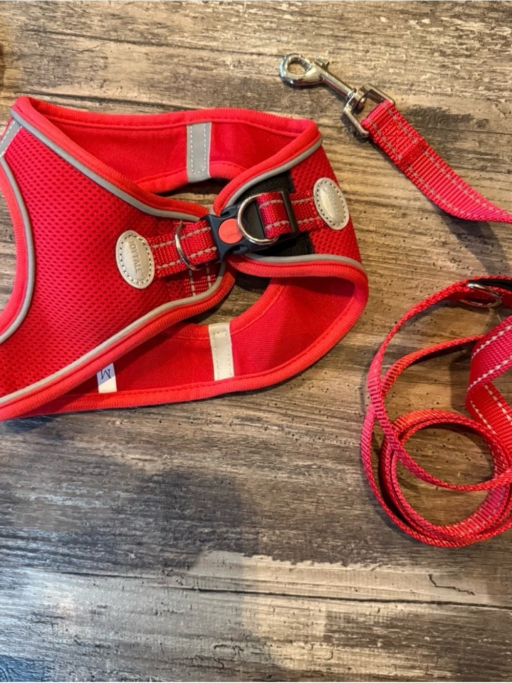 Red Dog Harness and Leash Set - Comfortable Reflective Design